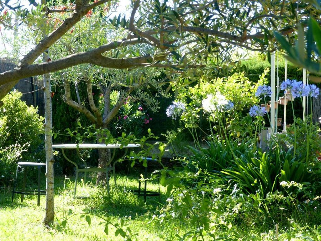 casa-tena Sorède Habitación foto